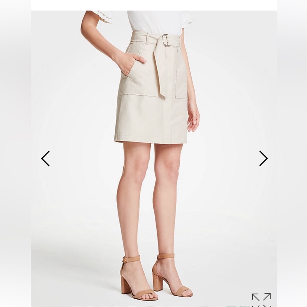 Ann Taylor A-Line Skirt